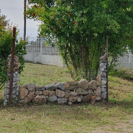 Litochoro Apartment In Estate A1 ภายนอก รูปภาพ