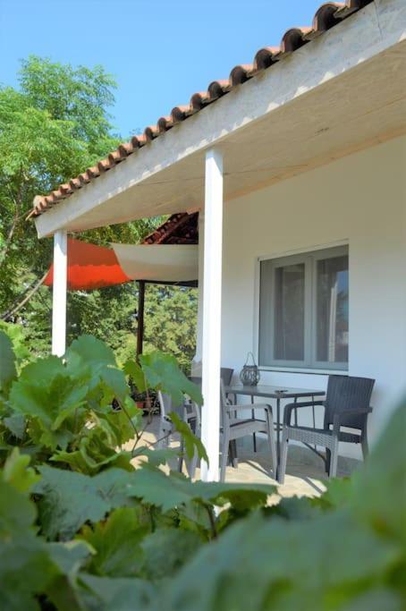 Litochoro Apartment In Estate A1 ภายนอก รูปภาพ
